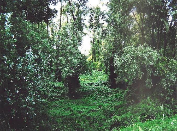 Barbara Munerato - Restituirsi alla natura